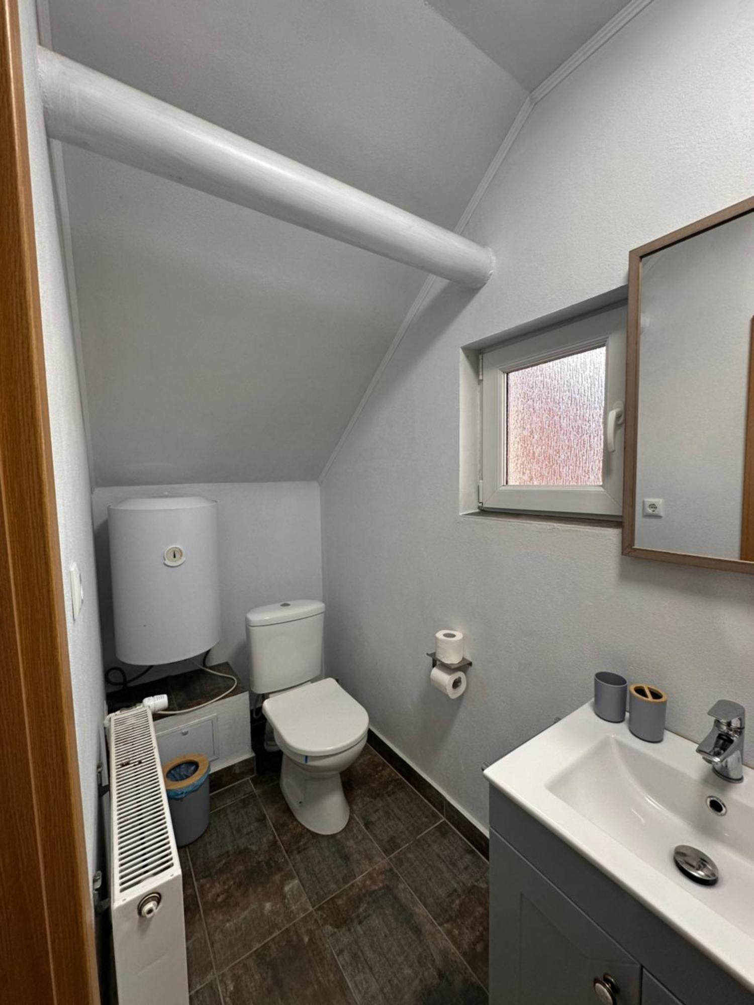Red Family Apartments Păltiniş Εξωτερικό φωτογραφία