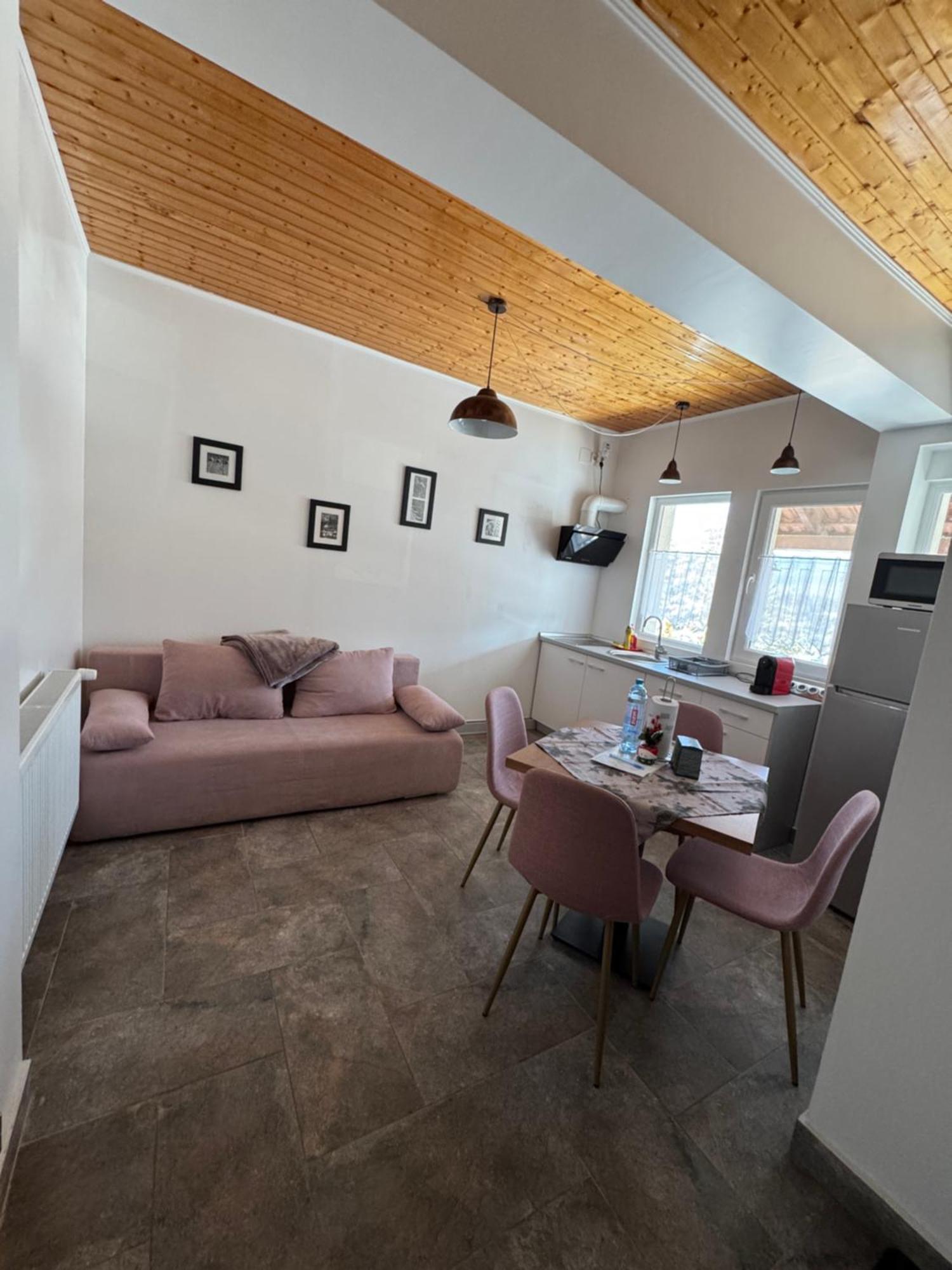 Red Family Apartments Păltiniş Εξωτερικό φωτογραφία